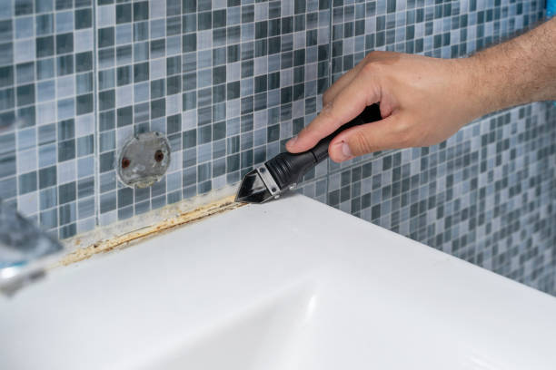 Best Basement Mold Remediation in Haworth, NJ